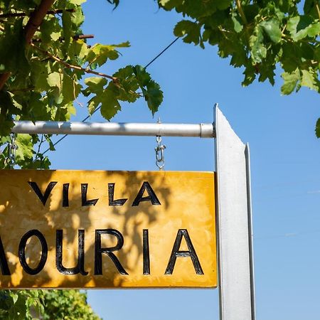 Villa Mouria Pinakokhorion Eksteriør bilde